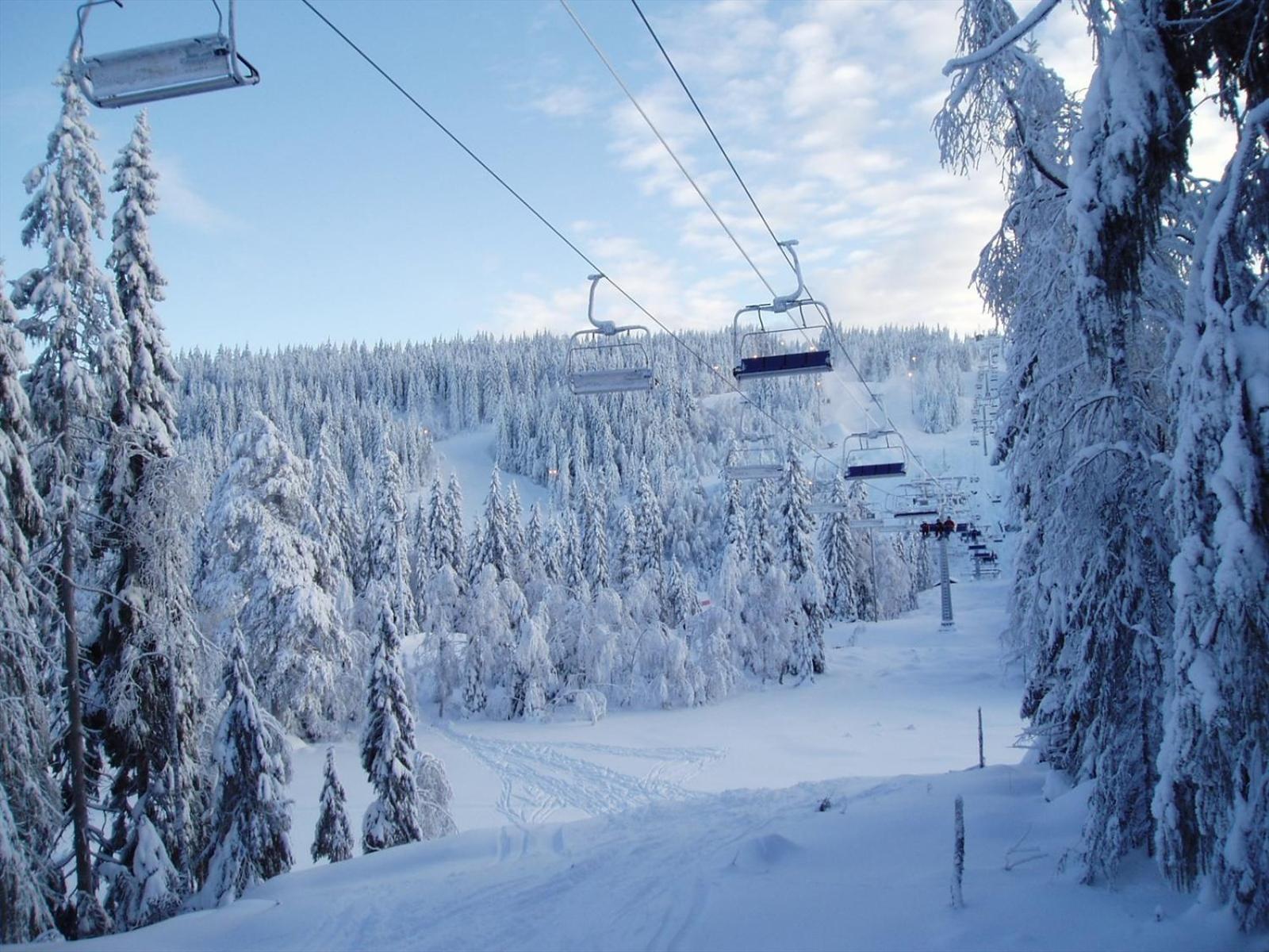 Holmenkollen Forest House Free Parking Apartment Oslo Ngoại thất bức ảnh