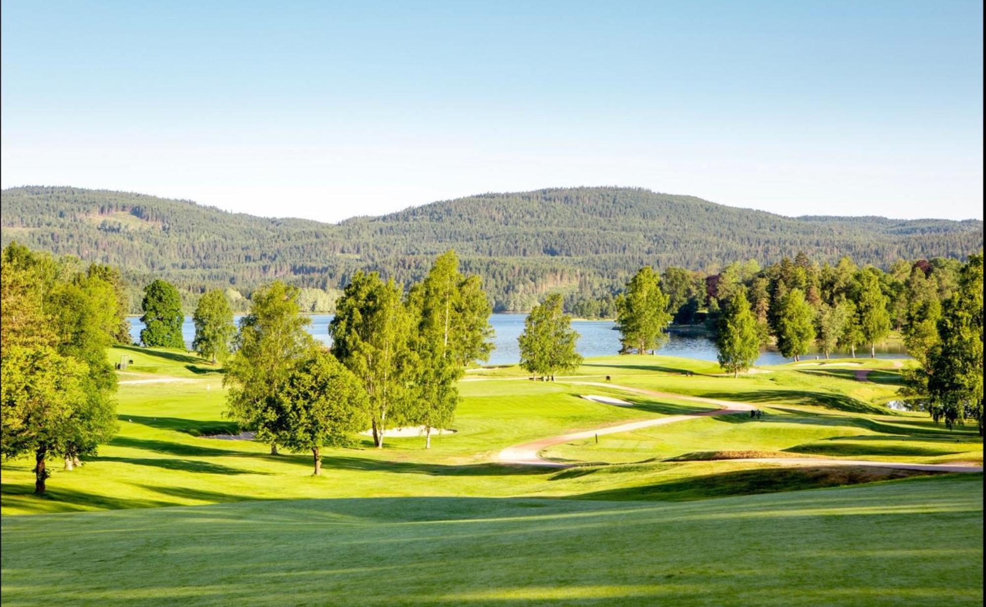 Holmenkollen Forest House Free Parking Apartment Oslo Ngoại thất bức ảnh